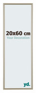 Annecy Plastic Photo Frame 20x60cm Champagne Front Size | Yourdecoration.co.uk