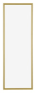 Annecy Plastic Photo Frame 20x60cm Gold Front | Yourdecoration.co.uk