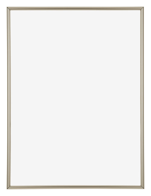Annecy Plastic Photo Frame 48x64cm Champagne Front | Yourdecoration.co.uk
