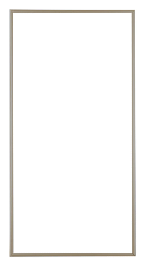 Austin Aluminium Photo Frame 50x100cm Champagne Front | Yourdecoration.co.uk