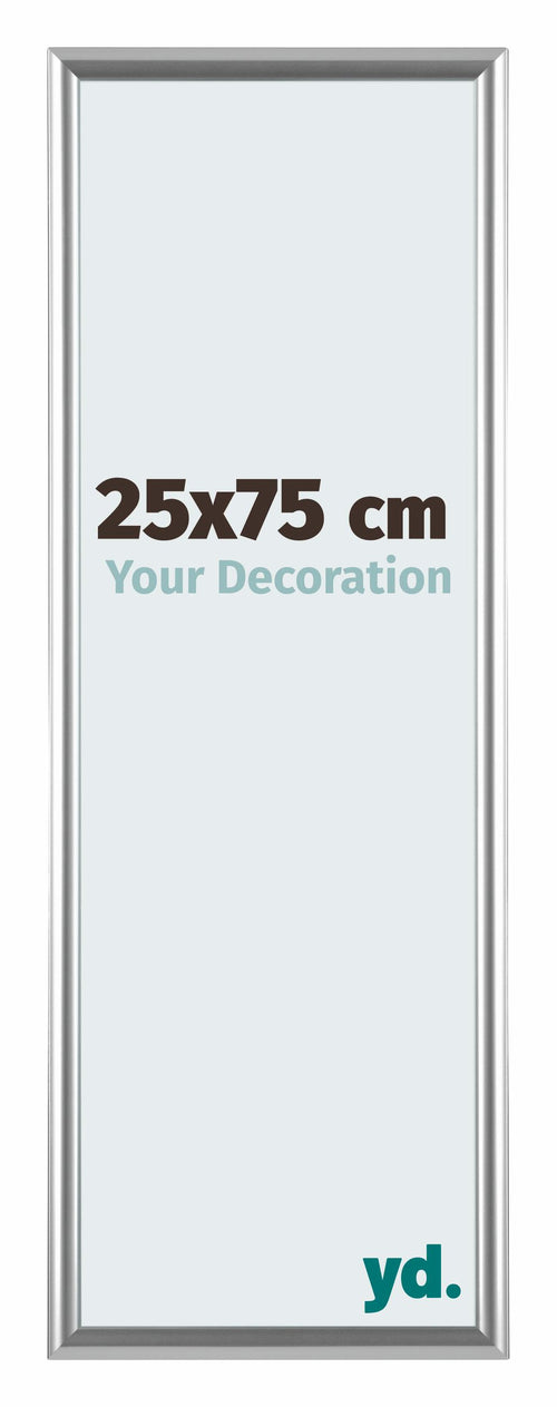 Bordeaux Plastic Photo Frame 25x75cm Silver Front Size | Yourdecoration.co.uk