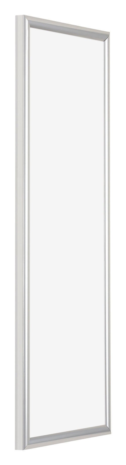 Bordeaux Plastic Photo Frame 33x98cm Silver Front Oblique | Yourdecoration.co.uk
