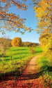 Dimex Meadow Wall Mural 150x250cm 2 Panels | Yourdecoration.co.uk