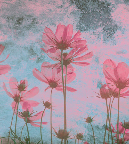 Dimex Pink Flower Abstract Wall Mural 225x250cm 3 Panels | Yourdecoration.co.uk