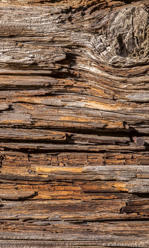 Dimex Tree Bark Wall Mural 150x250cm 2 Panels | Yourdecoration.co.uk