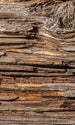 Dimex Tree Bark Wall Mural 150x250cm 2 Panels | Yourdecoration.co.uk