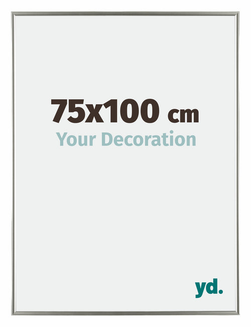 Evry Plastic Photo Frame 75x100cm Champagne Front Size | Yourdecoration.co.uk