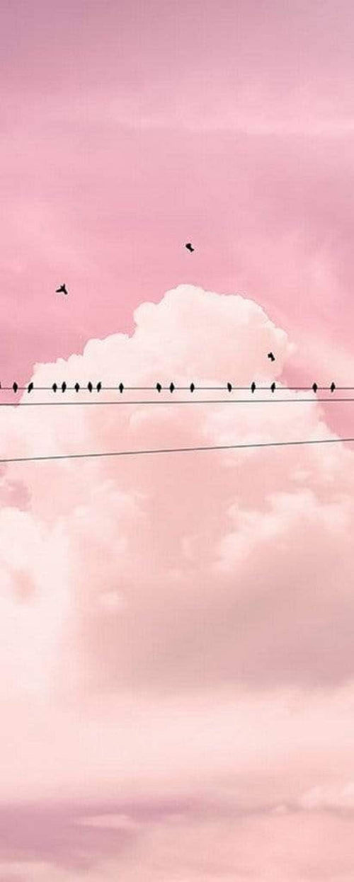 Komar Cloud Wire Non Woven Wall Mural 100x250cm 1 baan | Yourdecoration.co.uk