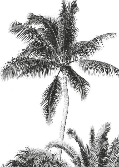 Komar Non Woven Wall Mural Iax4 0011 Retro Palm | Yourdecoration.co.uk
