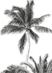 Komar Non Woven Wall Mural Iax4 0011 Retro Palm | Yourdecoration.co.uk