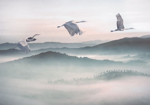 Komar Non Woven Wall Mural Inx8 083 Mystic Cranes | Yourdecoration.co.uk