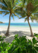 Komar Palmy Beach Non Woven Wall Mural 200x280cm 4 Panels | Yourdecoration.co.uk