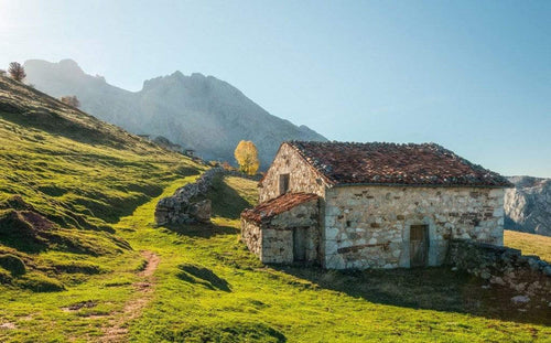 Komar Picos de Europe Alm Non Woven Wall Mural 450x280cm 9 Panels | Yourdecoration.co.uk