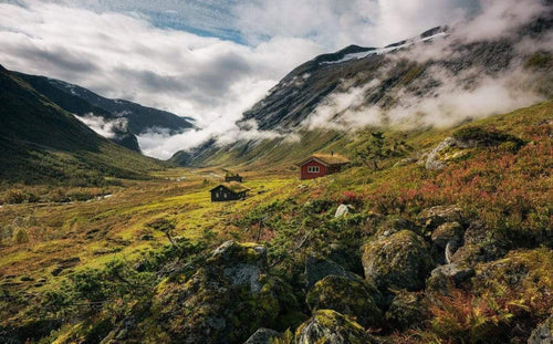 Komar Pure Norway Non Woven Wall Mural 450x280cm 9 Panels | Yourdecoration.co.uk