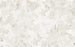 Komar Sheer Grey Non Woven Wall Mural 400x250cm 4 Panels | Yourdecoration.co.uk