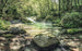Komar Tranquil Pool Non Woven Wall Mural 400x250cm 4 Panels | Yourdecoration.co.uk