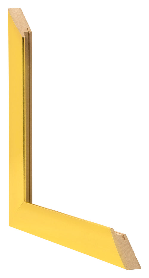 Photo Frame 45x80cm Gold Vintage MDF Pisa Detail Intersection | Yourdecoration.co.uk