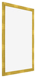 Photo Frame 48x68cm Gold Vintage MDF Pisa Front Oblique | Yourdecoration.co.uk