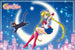 Poster Sailor Moon Luna 91 5x61cm GBYDCO715 | Yourdecoration.co.uk