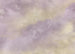 Wall Mural Lavender clouds 350x250cm FLX7 009 | Yourdecoration.co.uk