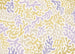 Wall Mural Sage Flip 350x250cm FLX7 016 | Yourdecoration.co.uk