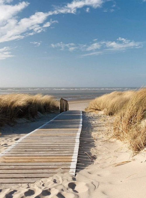 Wizard+Genius On the Baltic Sea Non Woven Wall Mural 192x260cm 4 Panels | Yourdecoration.co.uk