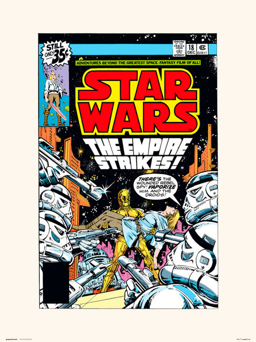 Grupo Erik Star Wars 18 The Empire Strikes Art Print 30x40cm | Yourdecoration.co.uk