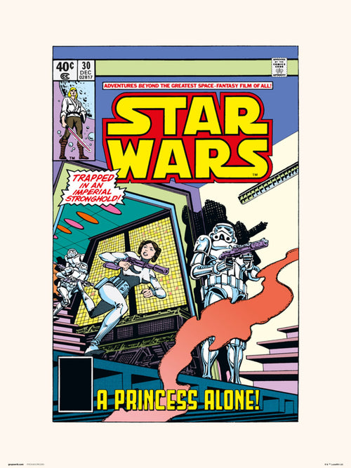 Grupo Erik Star Wars 30 A Princess Alone Art Print 30x40cm | Yourdecoration.co.uk