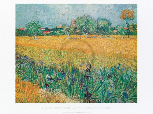Vincent Van Gogh Vista di Arles Con Irises Art Print 80x60cm | Yourdecoration.co.uk