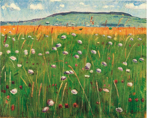Ferdinand Hodler Wiesenstück 1900/1902 Art Print 60x48cm | Yourdecoration.co.uk