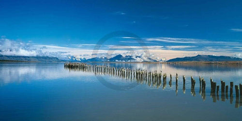 Popp Hackner Kormoräne Art Print 100x50cm | Yourdecoration.co.uk