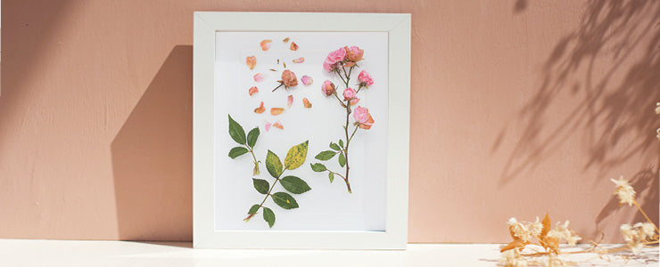 Save your dried flowers in a photo frame | Yourdecoration.co.uk