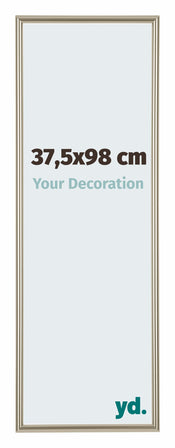 Annecy Plastic Photo Frame 37 5x98cm Champagne Front Size | Yourdecoration.co.uk