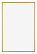 Annecy Plastic Photo Frame 60x85cm Gold Front | Yourdecoration.co.uk
