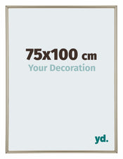 Annecy Plastic Photo Frame 75x100cm Champagne Front Size | Yourdecoration.co.uk