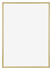 Annecy Plastic Photo Frame 21x29 7cm A4 Gold Front | Yourdecoration.co.uk