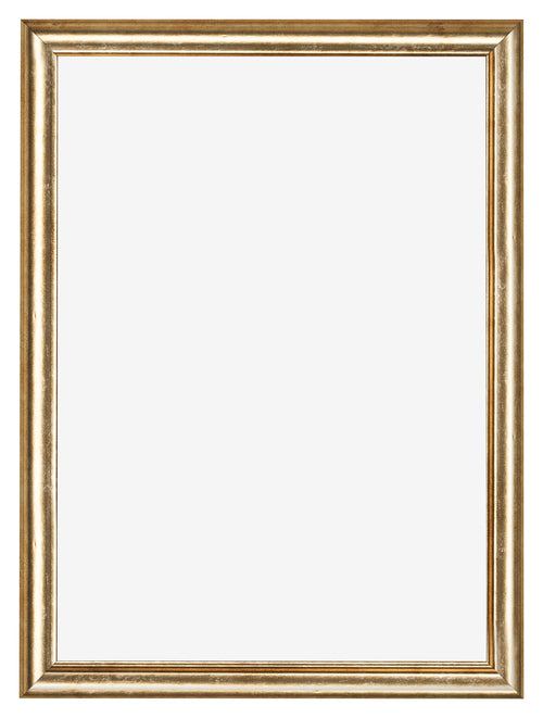 Photo Frame 29 7x42cm A3 Gold Antique MDF Lazio Front | Yourdecoration.co.uk
