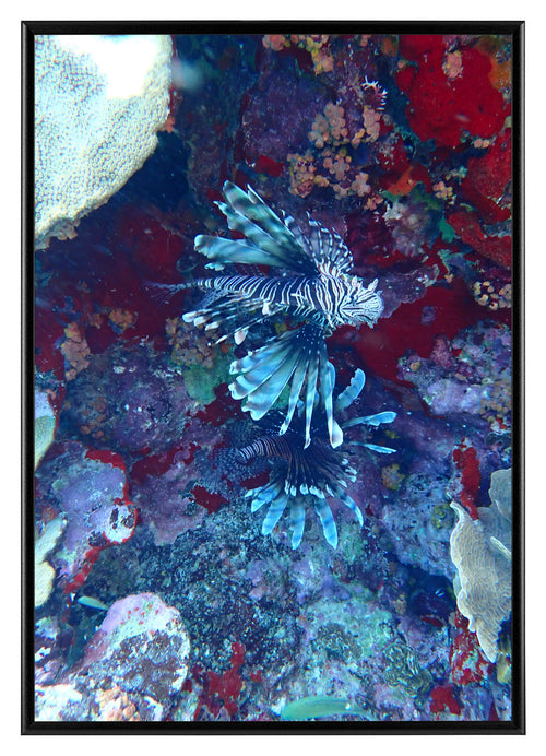 Aurora Aluminium Photo Frame 29 7x42cm A3 set of 2 Black Front Photo | Yourdecoration.co.uk