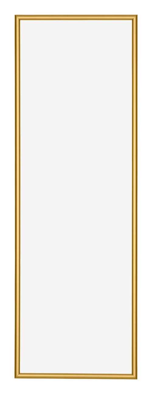 New York Aluminium Photo Frame 33x98cm Gold Shiny Front | Yourdecoration.co.uk