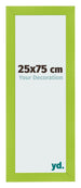 Photo Frame 25x75cm Green MDF Pisa Front Size | Yourdecoration.co.uk