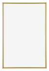 Annecy Plastic Photo Frame 20x30cm Gold Front | Yourdecoration.co.uk