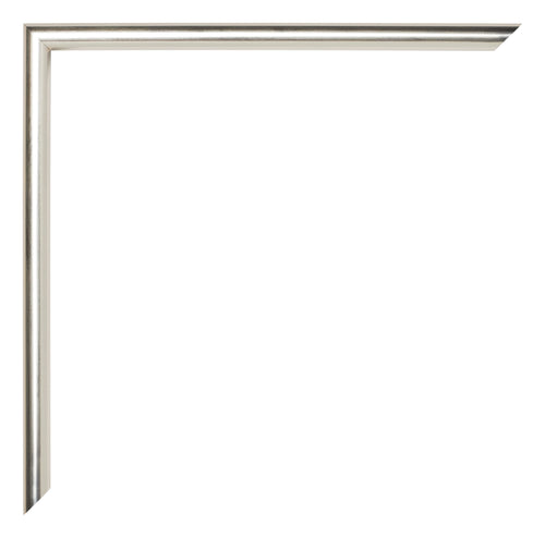 Annecy Plastic Photo Frame 20x60cm Champagne Detail Corner | Yourdecoration.co.uk