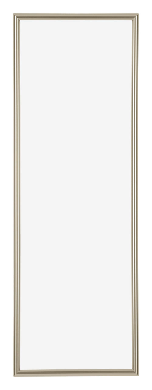 Annecy Plastic Photo Frame 20x60cm Champagne Front | Yourdecoration.co.uk