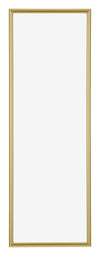 Annecy Plastic Photo Frame 20x60cm Gold Front | Yourdecoration.co.uk