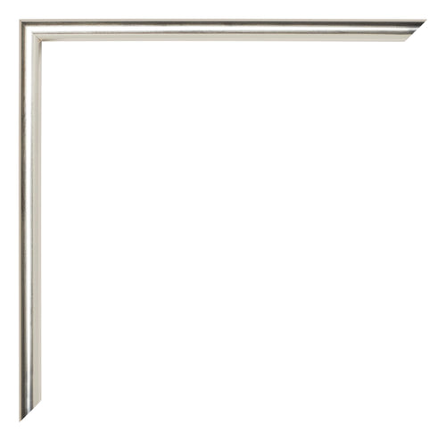 Annecy Plastic Photo Frame 29 7x42cm A3 Champagne Detail Corner | Yourdecoration.co.uk