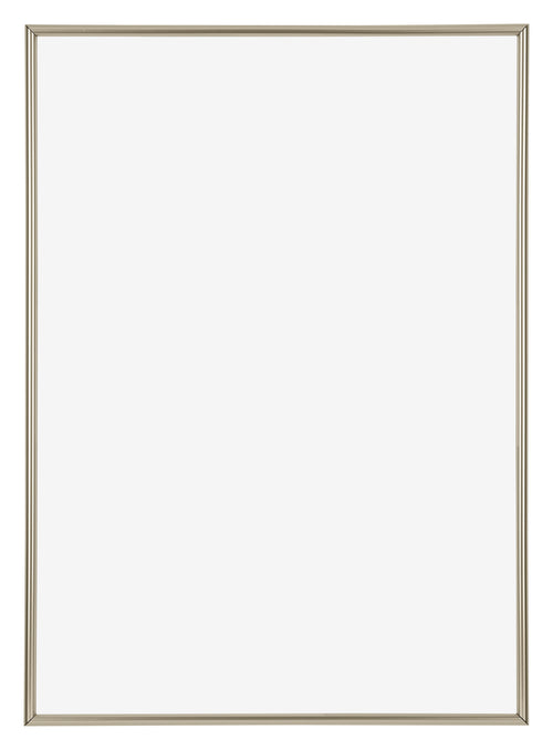 Annecy Plastic Photo Frame 29 7x42cm A3 Champagne Front | Yourdecoration.co.uk