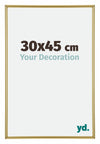 Annecy Plastic Photo Frame 30x45cm Gold Front Size | Yourdecoration.co.uk