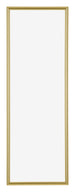 Annecy Plastic Photo Frame 33x98cm Gold Front | Yourdecoration.co.uk