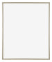 Annecy Plastic Photo Frame 36x49cm Champagne Front | Yourdecoration.co.uk