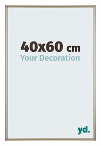 Annecy Plastic Photo Frame 40x60cm Champagne Front Size | Yourdecoration.co.uk